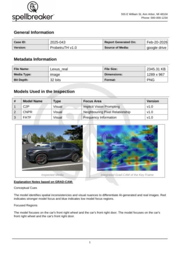 Real Image Analysis - Sample Report